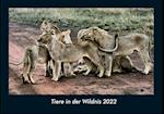 Tiere in der Wildnis 2022 Fotokalender DIN A4