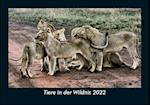 Tiere in der Wildnis 2022 Fotokalender DIN A5