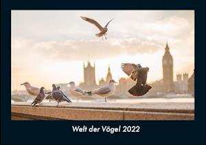 Welt der Vögel 2022 Fotokalender DIN A4