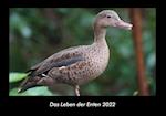 Das Leben der Enten 2022 Fotokalender DIN A3