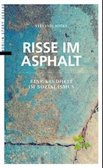 Risse im Asphalt