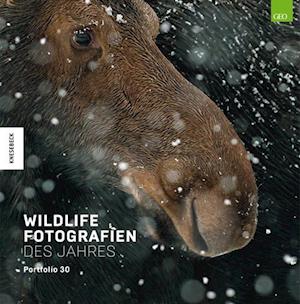 Wildlife Fotografien des Jahres - Portfolio 30