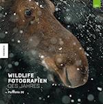 Wildlife Fotografien des Jahres - Portfolio 30