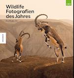 Wildlife Fotografien des Jahres - Portfolio 33