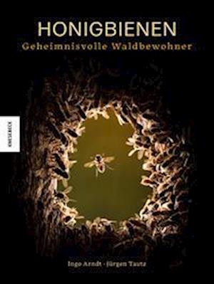 Honigbienen - Geheimnisvolle Waldbewohner