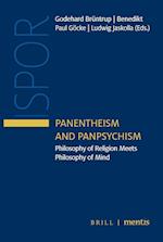 Panentheism and Panpsychism