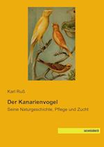 Der Kanarienvogel