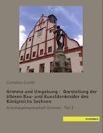 Grimma und Umgebung -  Darstellung der älteren Bau- und Kunstdenkmäler des Königreichs Sachsen