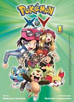 Pokémon X und Y 01