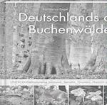 Deutschlands alte Buchenwälder