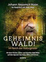 Geheimnis Wald! - Im Reich der Naturgeister