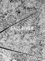 Sebastian Posingis: Salt River