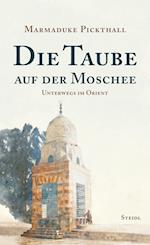 Die Taube auf der Moschee