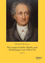 Der junge Goethe: Briefe und Dichtungen von 1764-1776