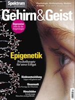 Gehirn&Geist 7/2020 Epigenetik