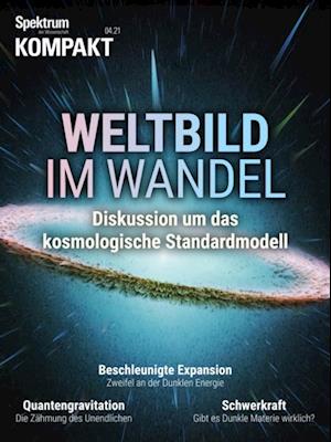 Spektrum Kompakt - Weltbild im Wandel