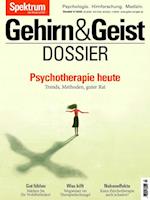 Gehirn&Geist Dossier - Psychotherapie heute