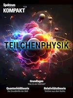 Spektrum Kompakt - Teilchenphysik