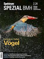 Spektrum Spezial BMH 2/2024 - Vögel