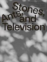 Zygmunt Rytka: Stones, Ants, and Television