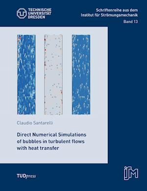 Direct Numerical Simulations of bubbles in turbulent flows with heat transfer