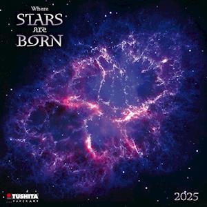 Where Stars are Born 2025
