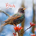 Birds 2025