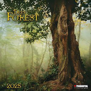 Deep Forest 2025