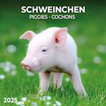 Piggies/Schweinchen 2025