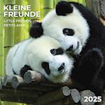 Little Friends/Kleine Freunde 2025