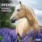 Horses/Pferde 2025