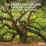 Die Kraft der Bäume 2025