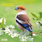 Vögel 2025