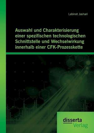 Auswahl und Charakterisierung einer spezifischen technologischen Schnittstelle und Wechselwirkung innerhalb einer CFK-Prozesskette