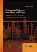 Kindeswohlgefahrdungen - Jugendamter und Schulen: Leitfaden fur eine verbesserte Zusammenarbeit der Schnittstelle