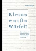 Kleine weiße Würfel? Das Bauhaus, De Stijl und ihre ersten realisierten Bauten - eine Architekturbetrachtung