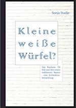 Kleine weie Wurfel? Das Bauhaus, De Stijl und ihre ersten realisierten Bauten - eine Architekturbetrachtung