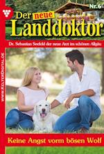 Der neue Landdoktor 6 – Arztroman