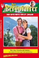 Der Bergpfarrer 79 – Heimatroman