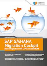 SAP S/4HANA Migration Cockpit - Datenmigration mit LTMC und LTMOM