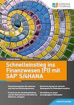 Schnelleinstieg ins Finanzwesen (FI) mit SAP S/4HANA