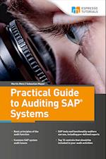 Metz, M: Practical Guide to Auditing SAP Systems