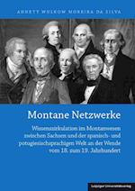 Montane Netzwerke