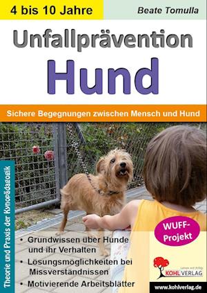 Unfallprävention Hund