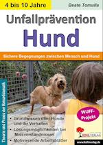 Unfallprävention Hund