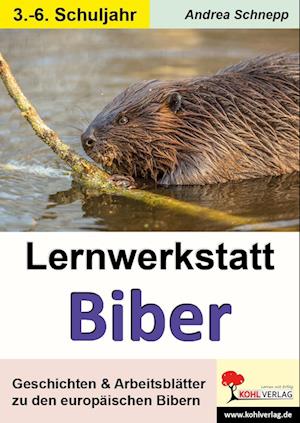 Lernwerkstatt Biber