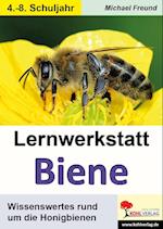 Lernwerkstatt Biene