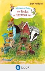 Pettersson und Findus. Wie Findus zu Pettersson kam