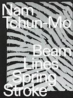 Nam Tchun-Mo: Beam Lines Spring Stroke