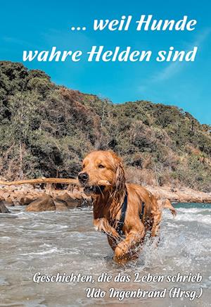 ... weil Hunde wahre Helden sind